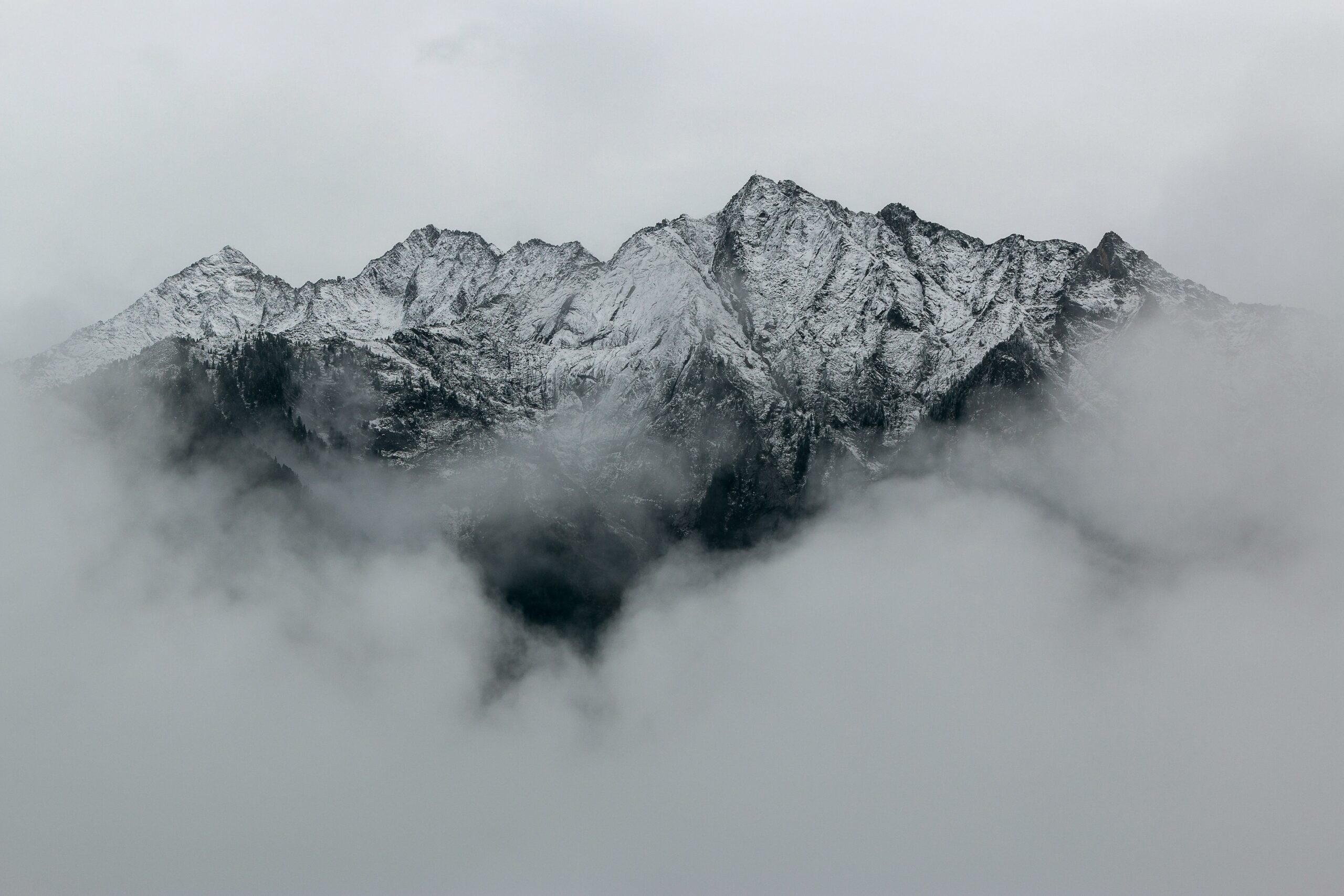 pexels-eberhardgross-691668